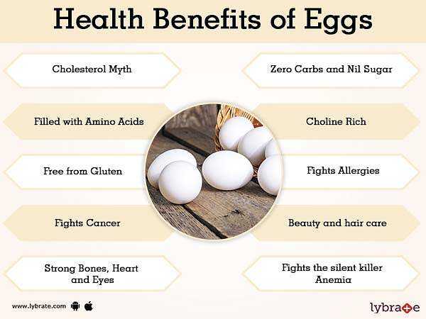 Chicken, Calories, benefits and harms, Useful properties