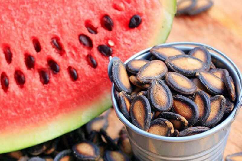 Melon seeds, Calories, benefits and harms, Useful properties