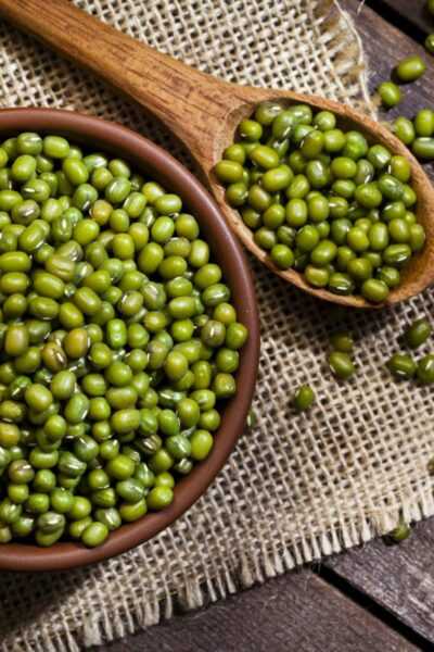 Mung bean (golden beans or mung beans), Calories, benefits and harms, Useful properties