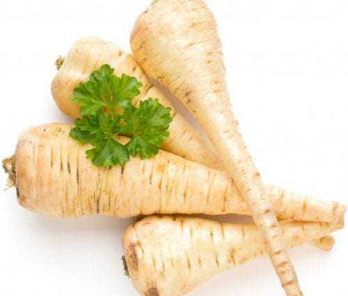 Parsnips, Calories, benefits and harms, Useful properties