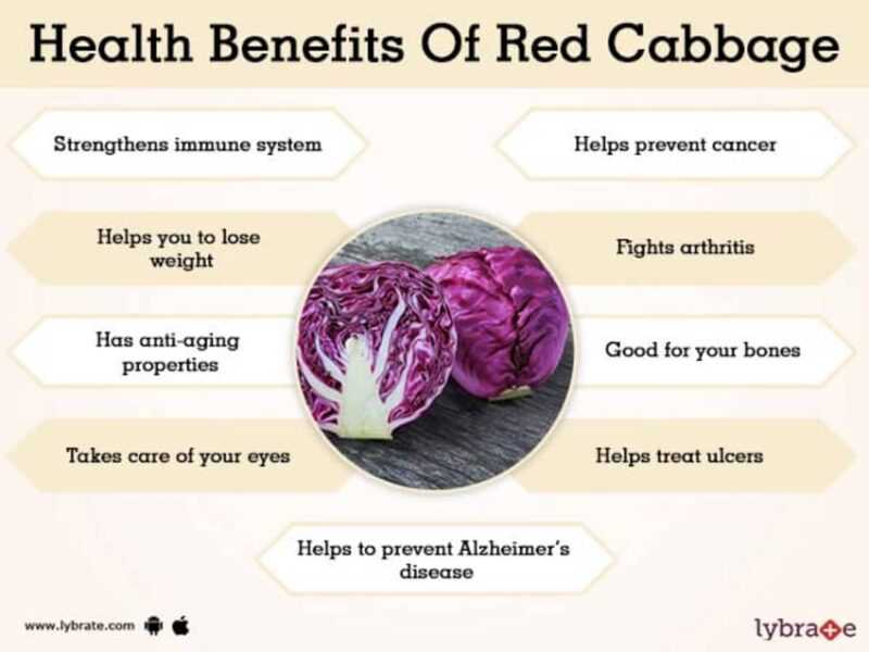Red cabbage, Calories, benefits and harms, Useful properties