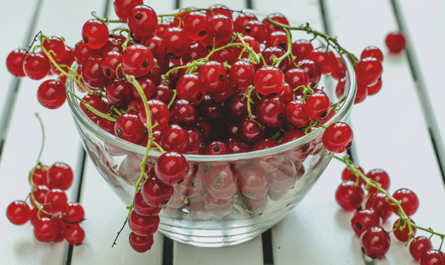Red currant, Calories, benefits and harms, Useful properties