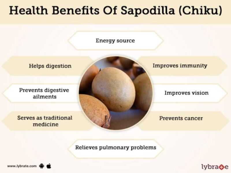 Sapodilla, Calories, benefits and harms, Useful properties