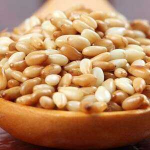 Sesame seeds, Calories, benefits and harms, Useful properties