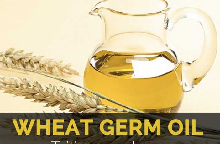 Wheat germ oil, Calories, benefits and harms, Useful properties