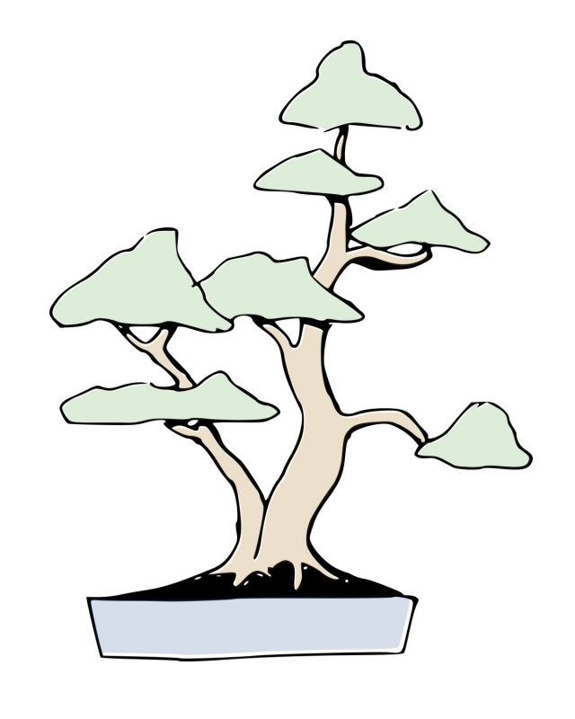Sokan bonsai style
