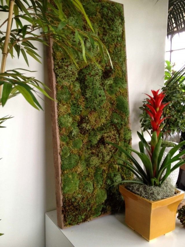 Decorative living panel made of moss