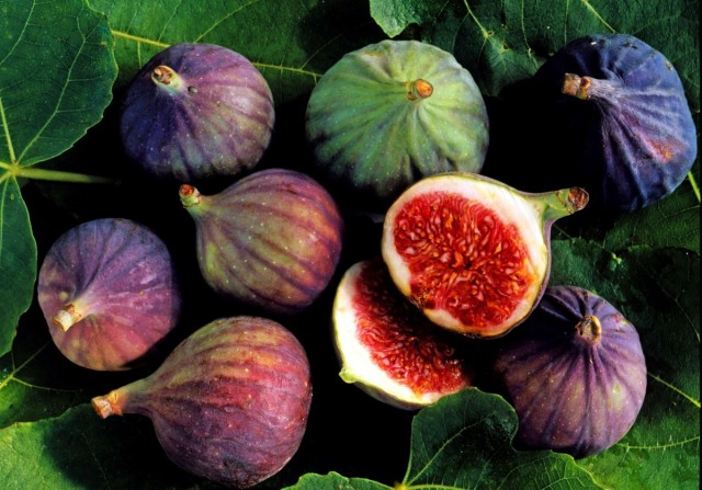 Figs, fig tree fruit