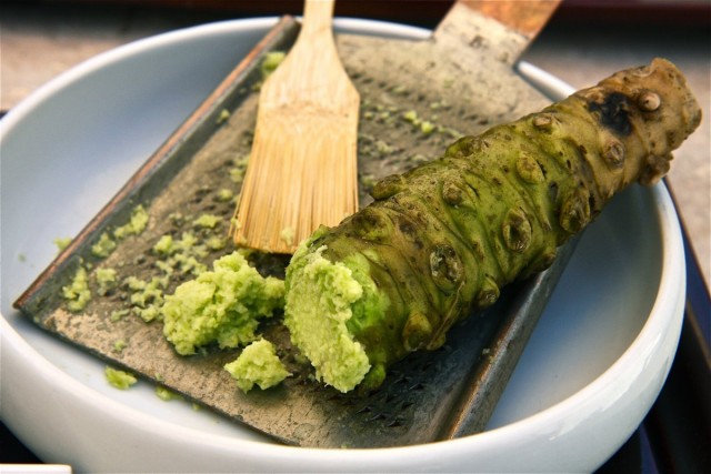 Wasabi paste and Japanese eutreme root