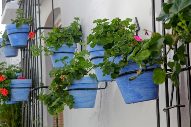 For vertical potted gardens on open balconies, special attention should be paid to structural stability.