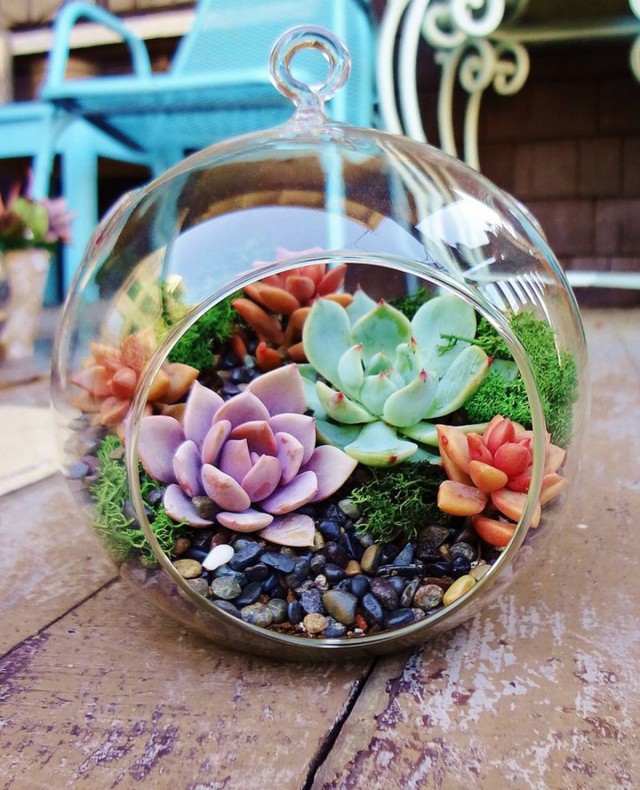 Floristic style "makes" small details using plants, such as succulents
