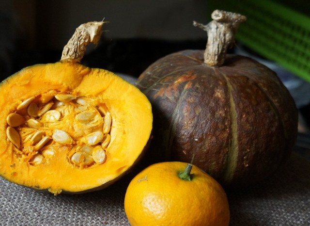 Pumpkin "Sweet chestnut" is not much more than a tangerine