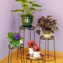 Medium single plants are best placed on small, comfortable, single stands
