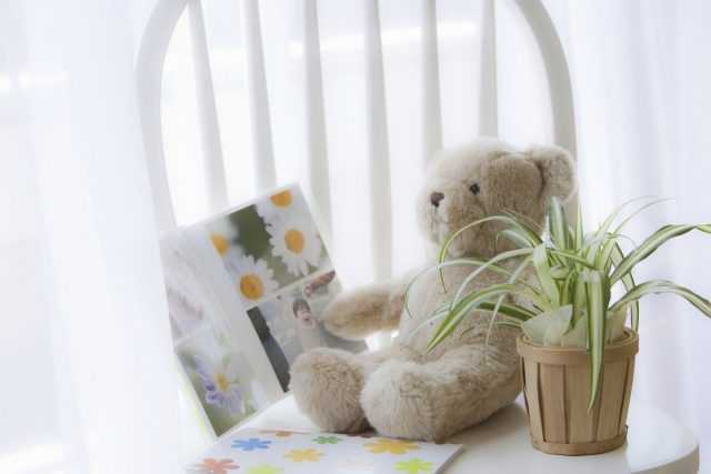 Most Useful Indoor Plants for Nursery-Care