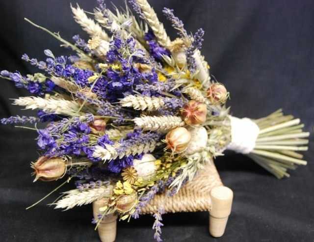 The best dried flower plants for winter bouquets - growing and care