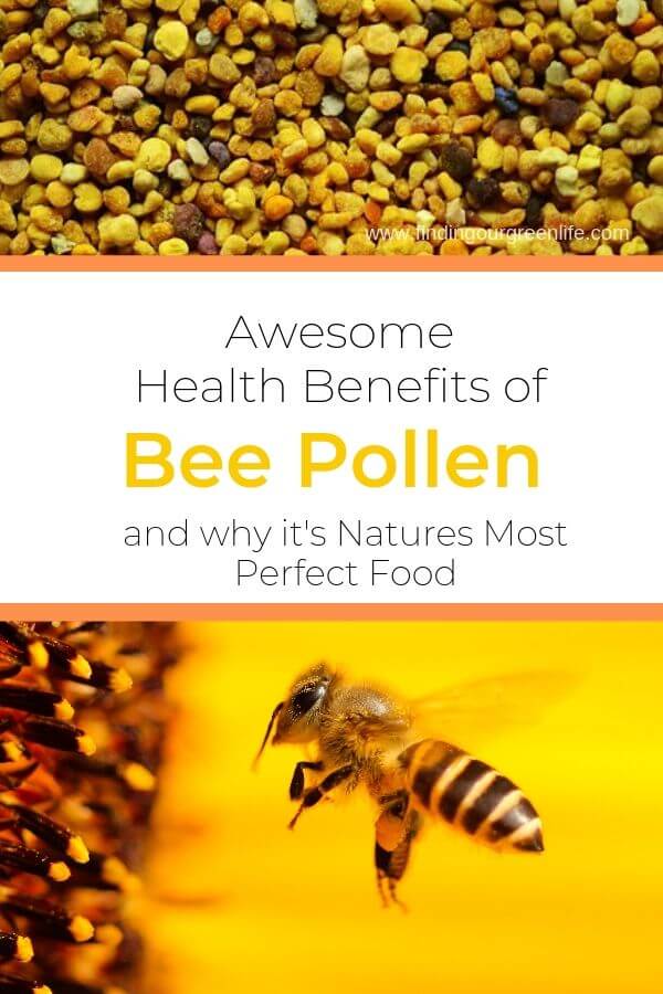 Bee pollen and the child's body
