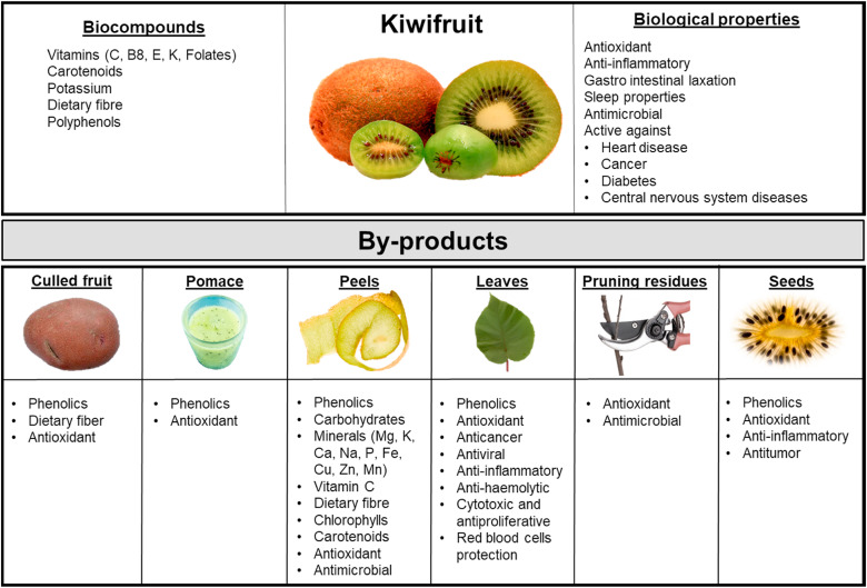 Characteristics of Kiwi Potatoes