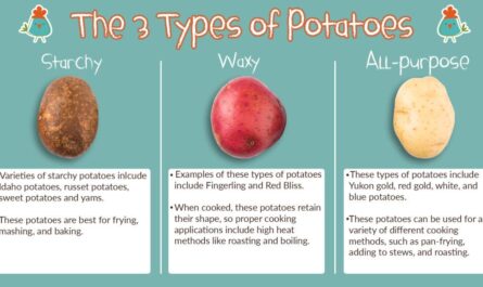 Characteristics of Zorochka potatoes