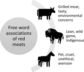 Horse meat, Calories, benefits and harms, Useful properties