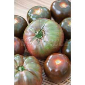 Característica del tomate Crimea negra