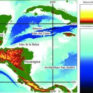 Características de la col de huracanes