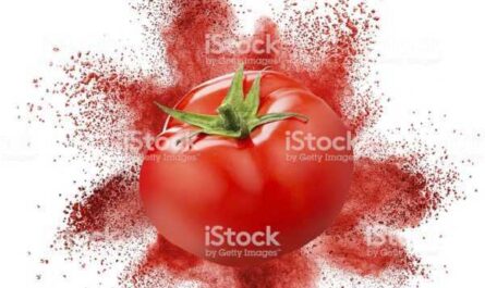 Características de la explosión de tomate