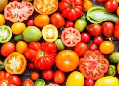 Características de la variedad de tomate Grasa