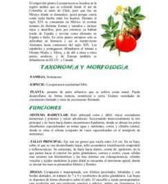 Características de las variedades de tomate GS 12