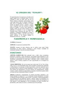 Características de las variedades de tomate GS 12