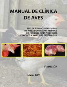 Causas de plumas en pollos y métodos de tratamiento.