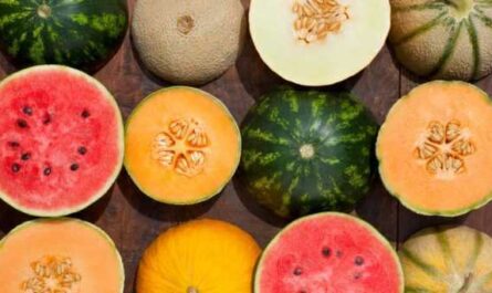 Datos interesantes sobre Melon Pumpkin