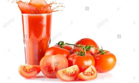 Descripción de lazybones de tomate