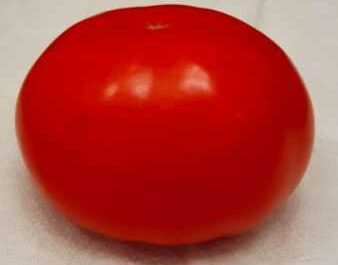 Descripción de los tomates gina