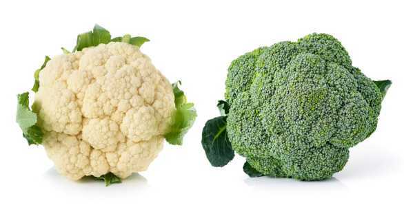 Diferencias de brócoli de coliflor