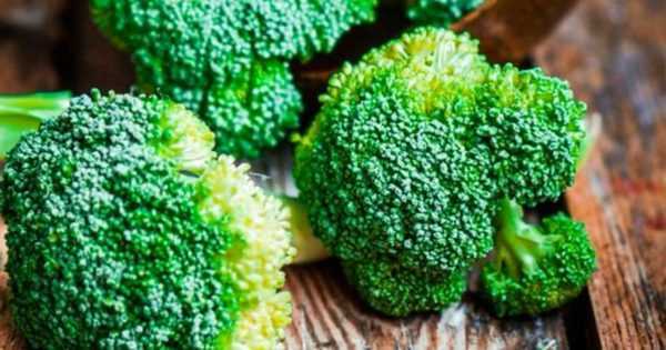¿Es posible comer un tallo y hojas de brócoli?