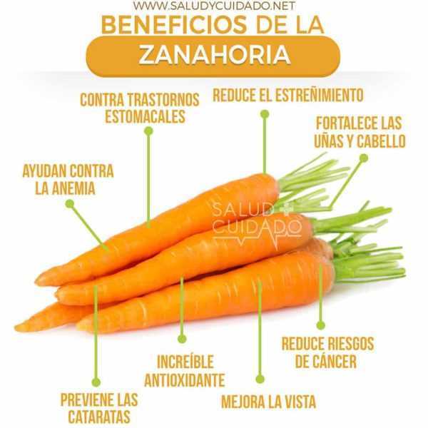 Los beneficios y daños de las zanahorias