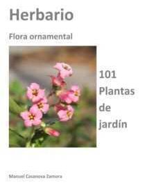 Métodos de poda de Ficus y métodos de formación de corona caducifolia.