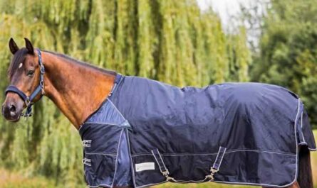 ¿Qué tipos de mantas para caballos hay y por qué se necesitan?