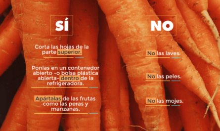 Reglas para almacenar zanahorias en el refrigerador