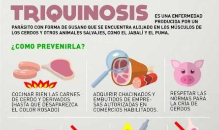 Síntomas y tratamientos para la triquinosis en cerdos.