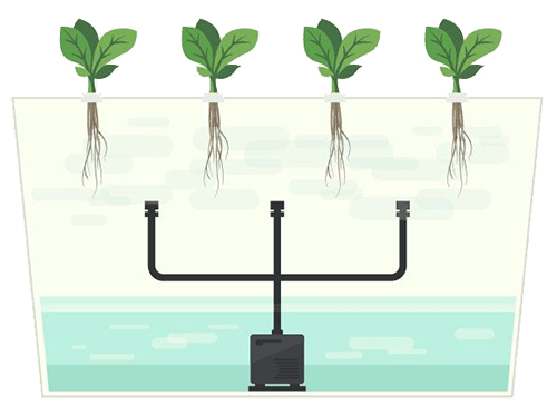 Wat is aeroponics en hoe wordt het toegepast?