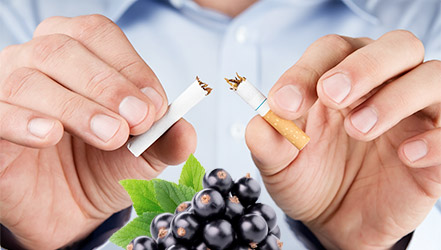 Zwarte bes helpt bij het stoppen met roken