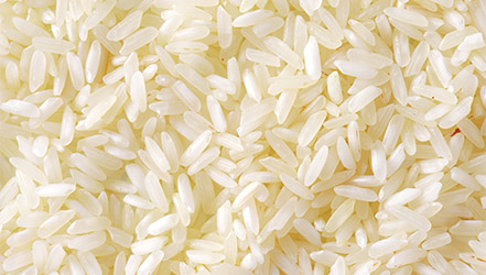 gạo jasmine