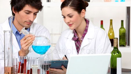 A tudósok a szőlőt és a bort tanulmányozzák a laboratóriumban.