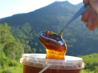 Honey tare da jelly na sarauta: amfanin da yadda za a bambanta karya