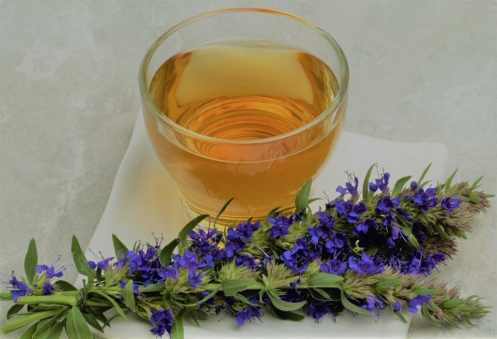 Care sunt soiurile și tipurile de miere: proprietăți medicinale și caracteristicile lor.