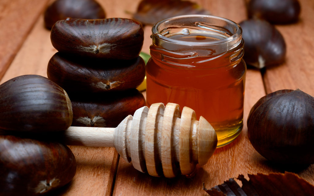 Vilka är sorterna och typerna av honung: medicinska egenskaper och deras egenskaper.