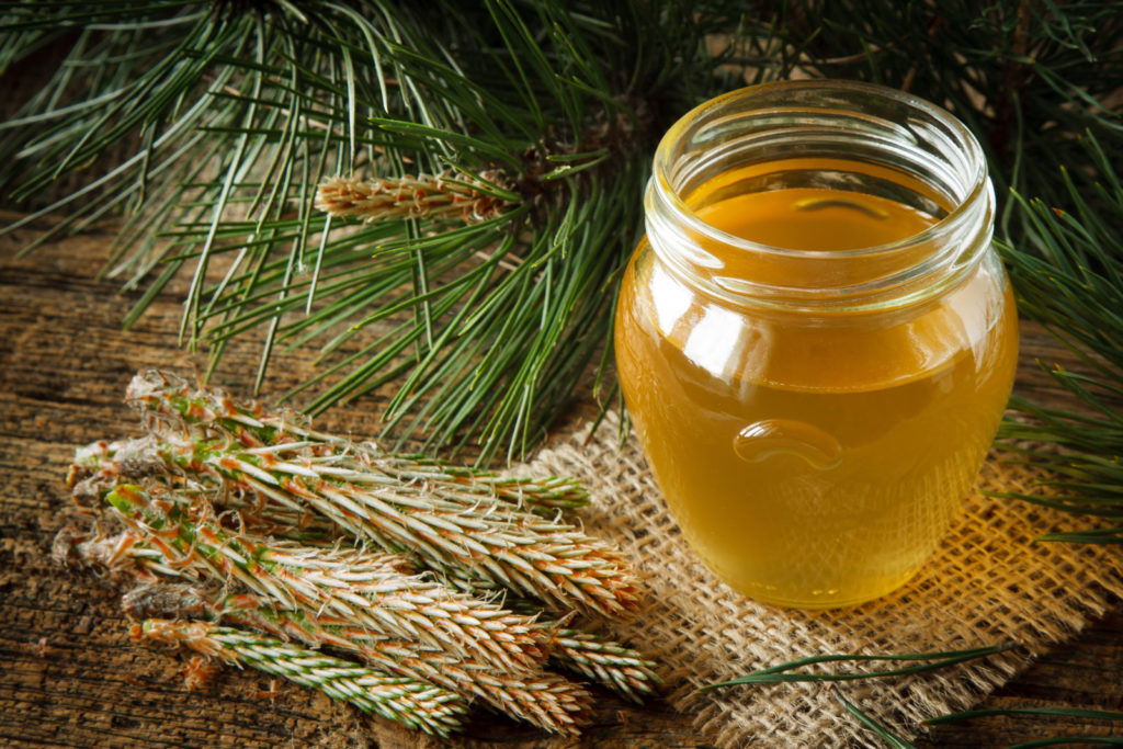 Jaké jsou odrůdy a druhy medu: léčivé vlastnosti a jejich vlastnosti.