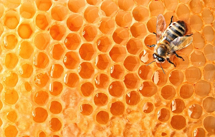 Care sunt soiurile și tipurile de miere: proprietăți medicinale și caracteristicile lor.