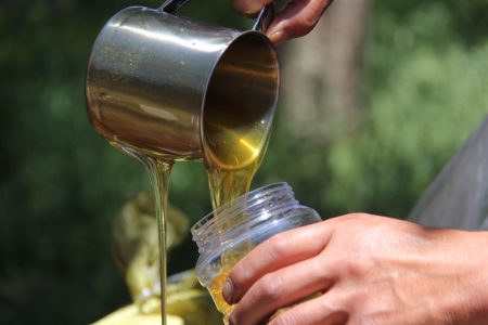 Πώς φτιάχνουν οι μέλισσες το μέλι και γιατί;